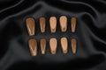 Press On Nails • Moka French